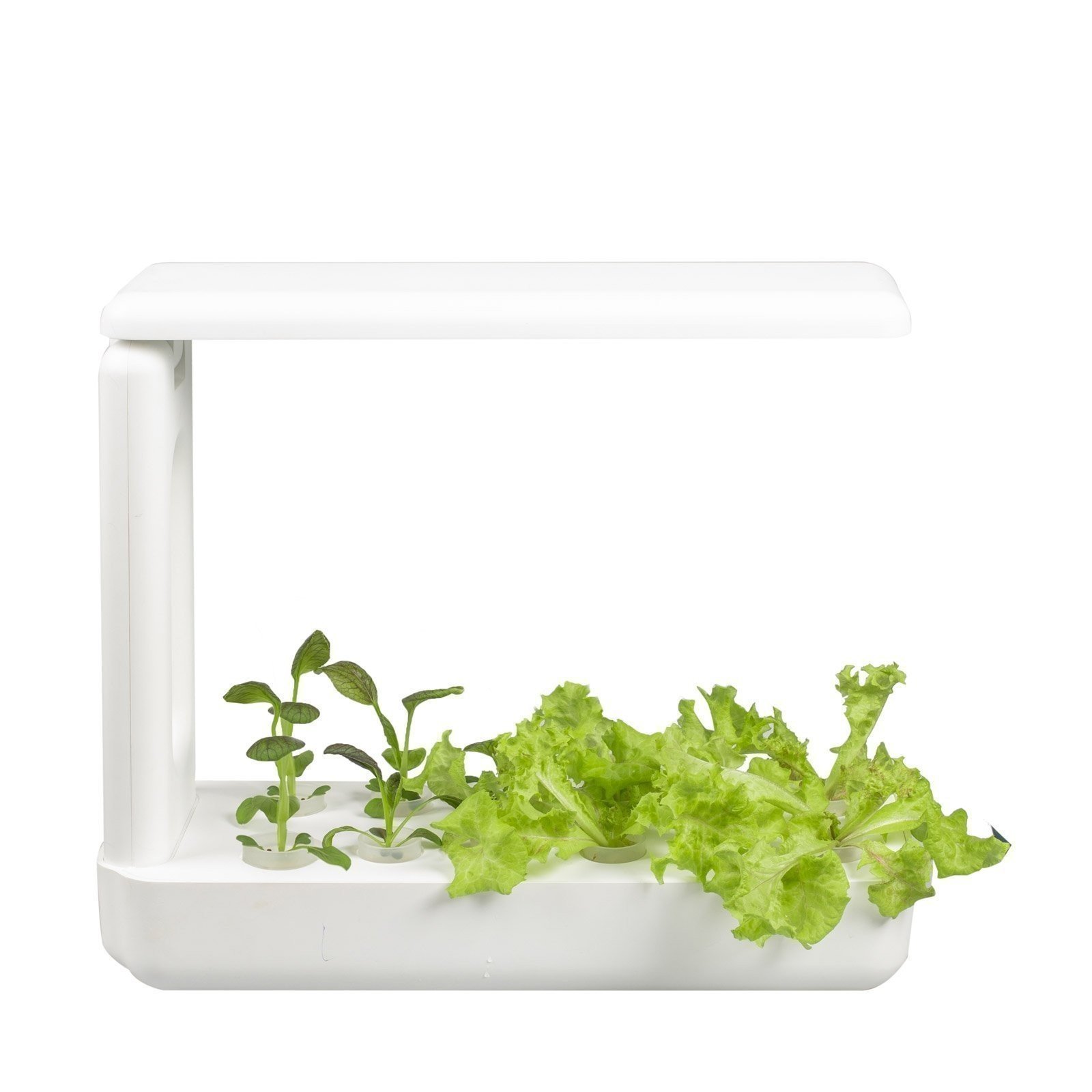 Vegebox Kitchen Indoor Hydroponic Garden