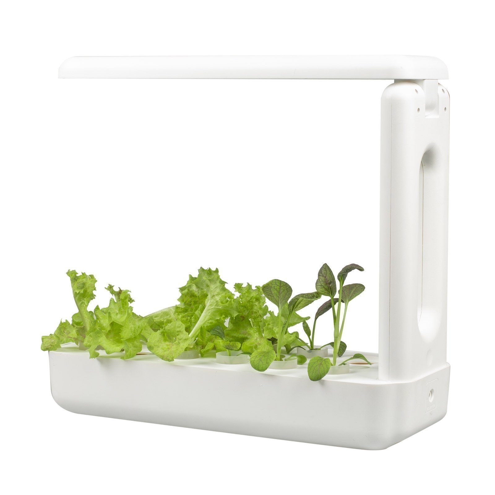 Vegebox Kitchen Indoor Hydroponic Garden